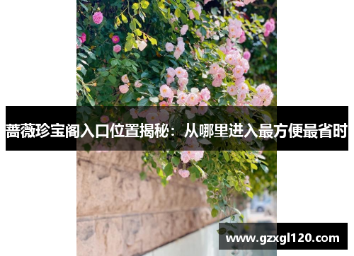 蔷薇珍宝阁入口位置揭秘：从哪里进入最方便最省时