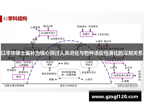 以本华莱士面补为核心探讨人类进化与物种适应性演化的深刻关系